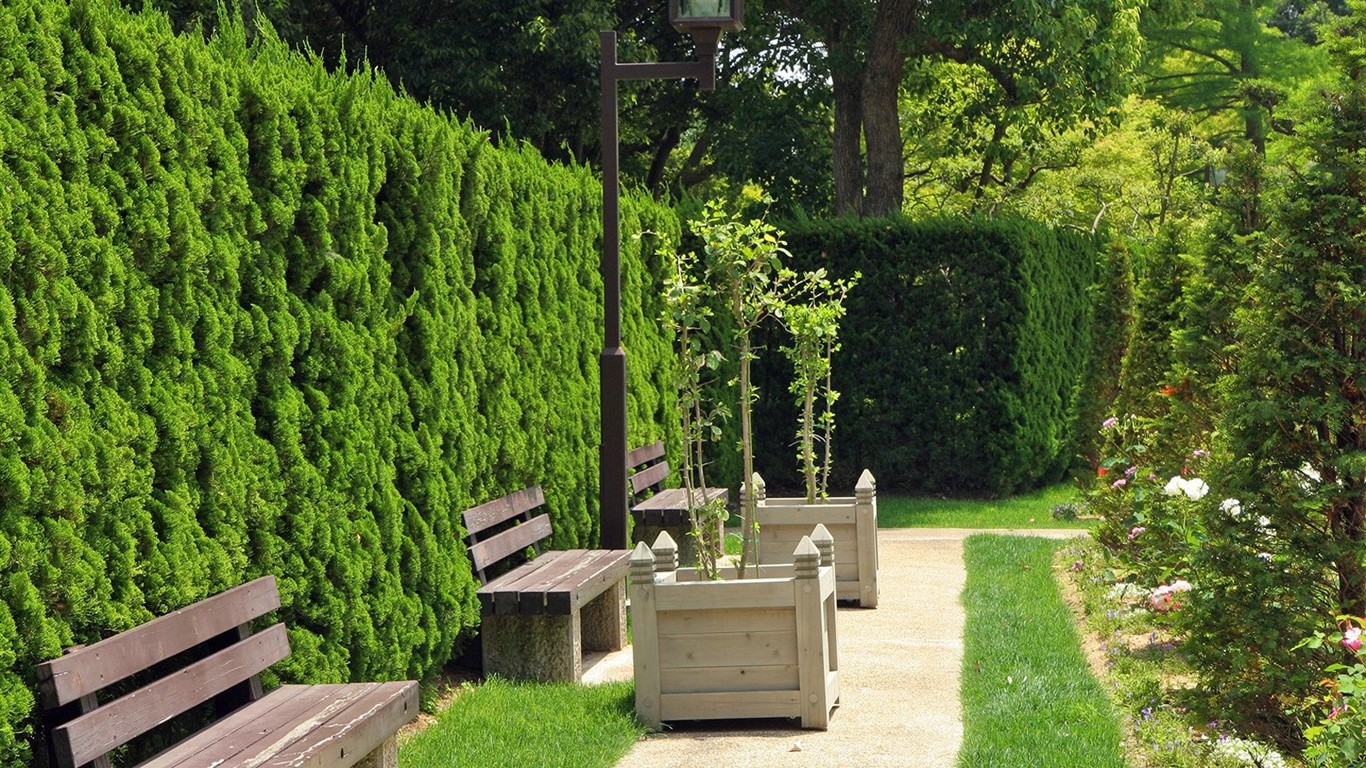 Parc beau fond d'écran #21 - 1366x768