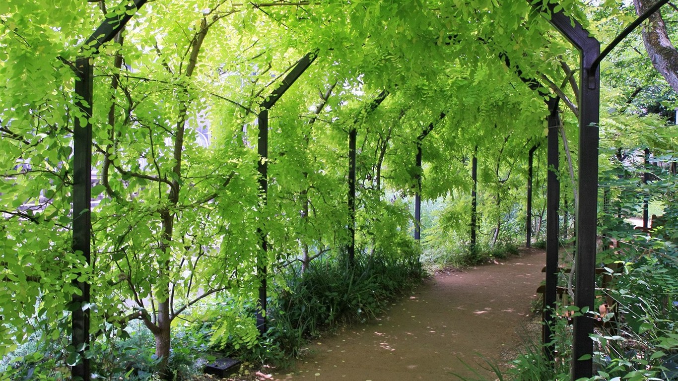 Parc beau fond d'écran #25 - 1366x768