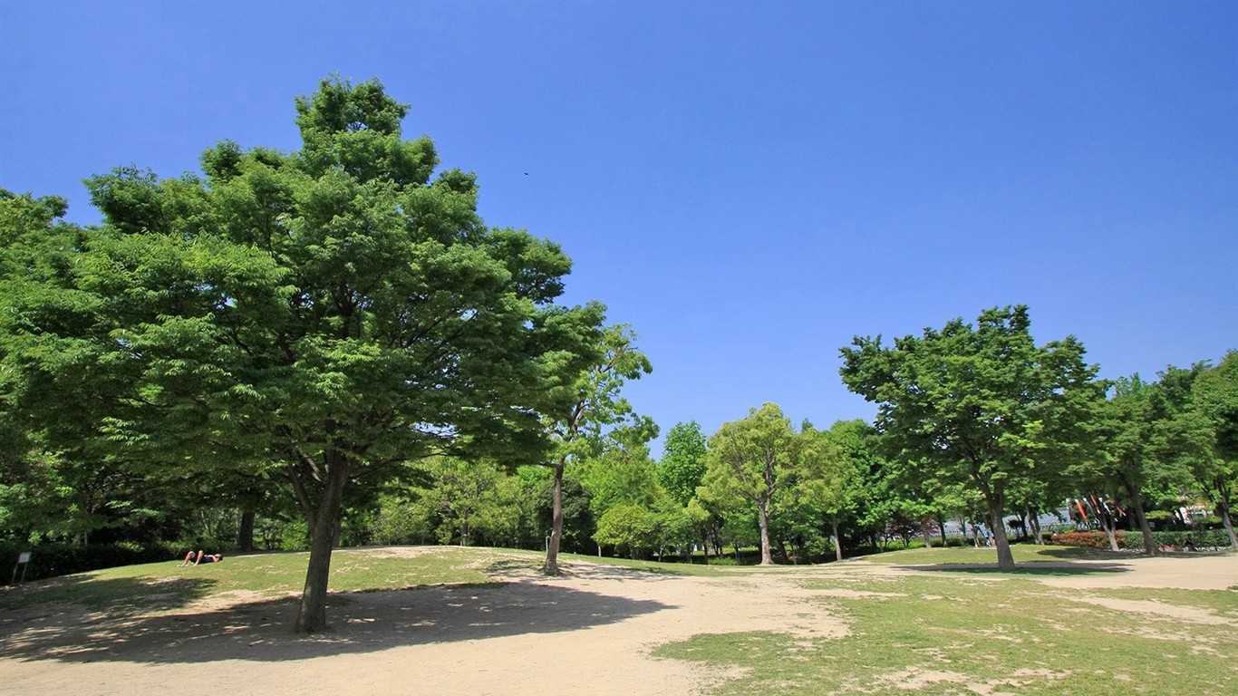 Park beautiful wallpaper #26 - 1366x768