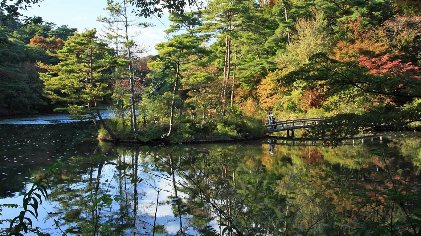 Parc beau fond d'écran #30 - 1366x768