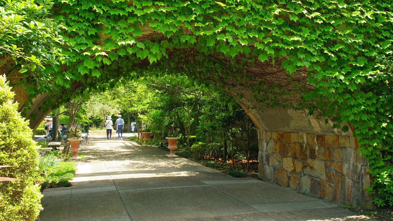 寧靜庭園 公園美景壁紙 #32 - 1366x768