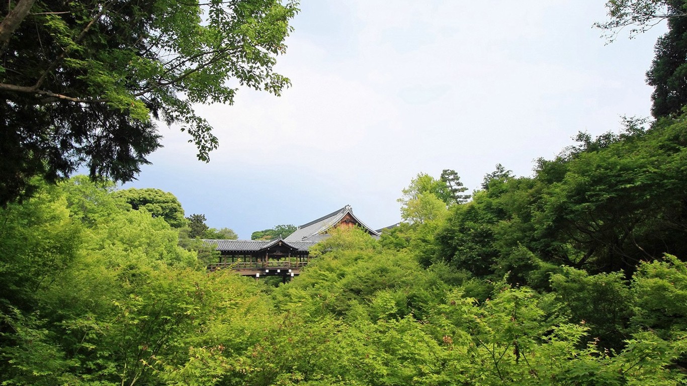寧靜庭園 公園美景壁紙 #36 - 1366x768