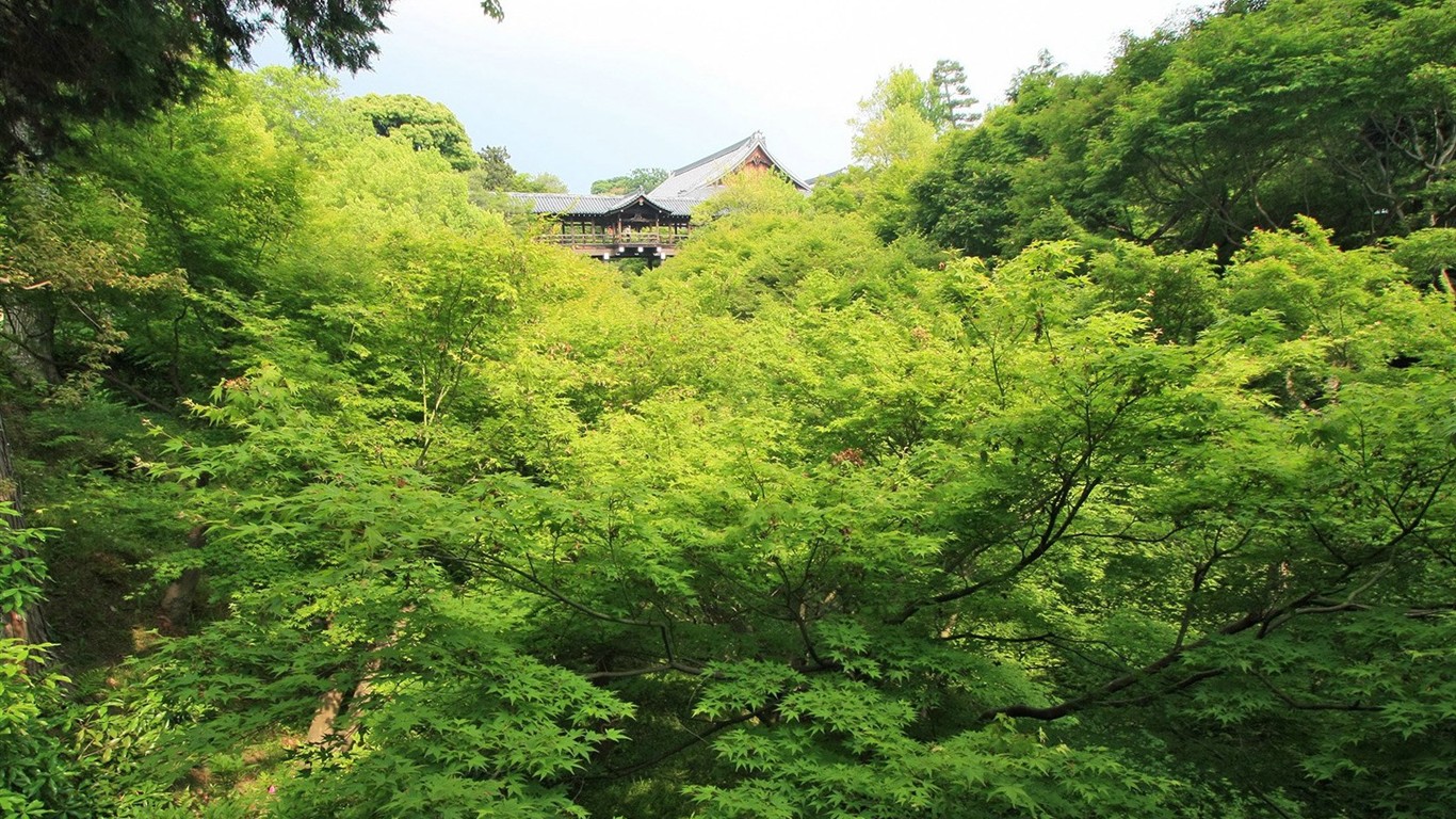 寧靜庭園 公園美景壁紙 #37 - 1366x768