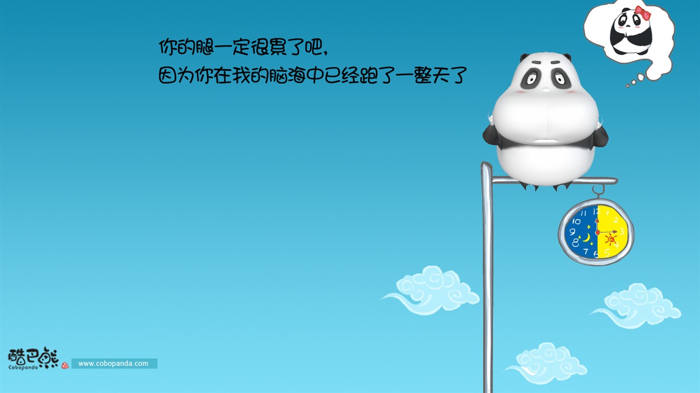 可愛酷巴熊壁紙 #3 - 1366x768