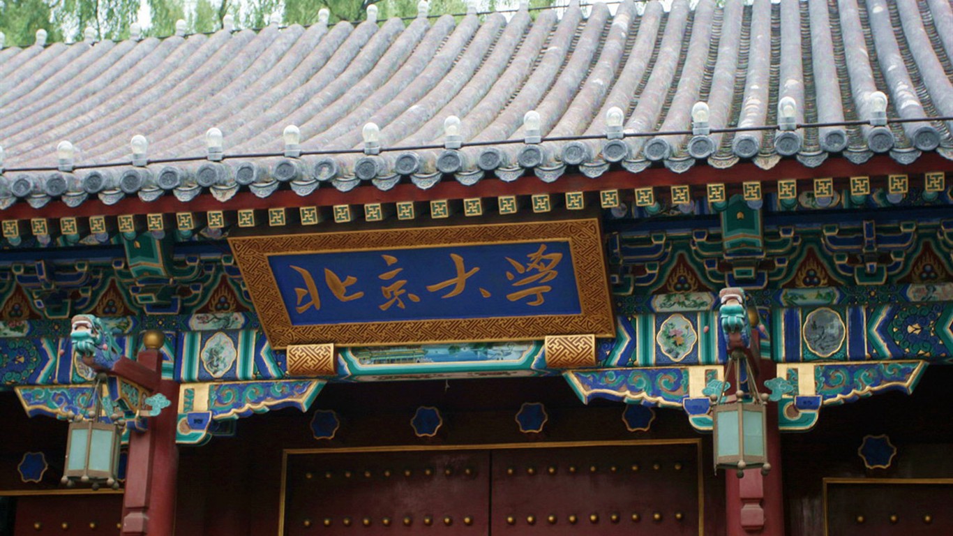 Glimpse of Peking University (Minghu Metasequoia works) #1 - 1366x768