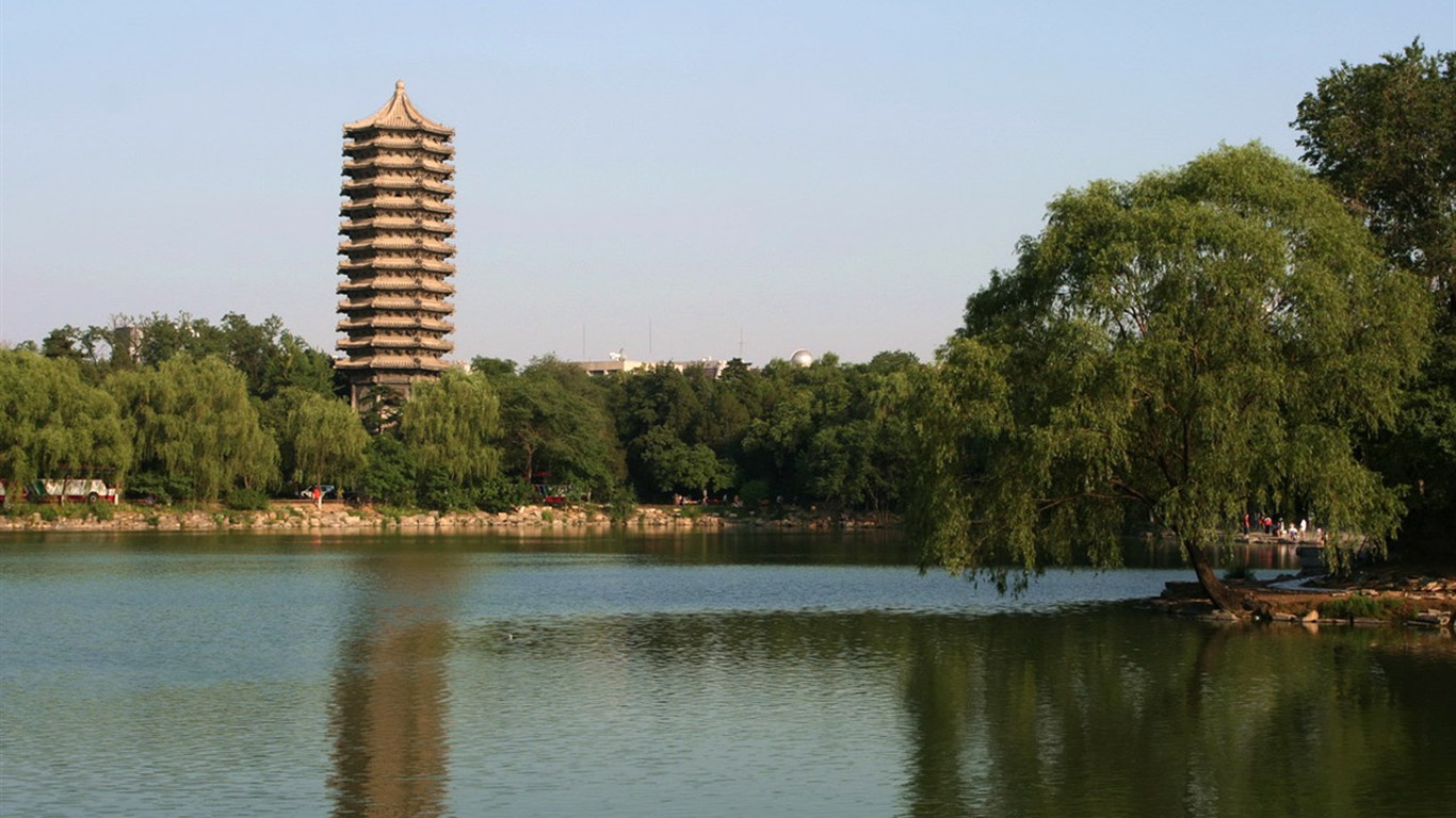 Glimpse of Peking University (Minghu Metasequoia works) #5 - 1366x768