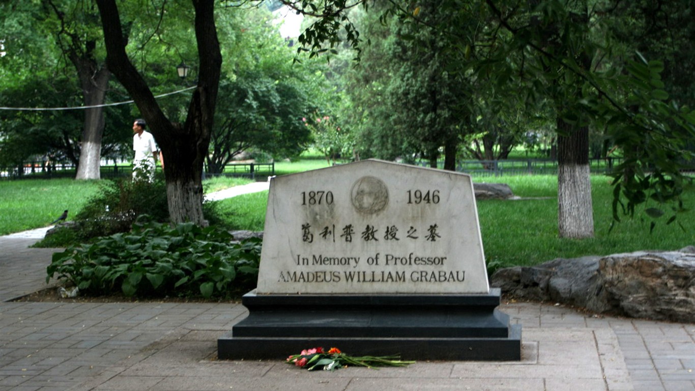 letmý pohled na Peking University (Minghu Metasequoia práce) #6 - 1366x768