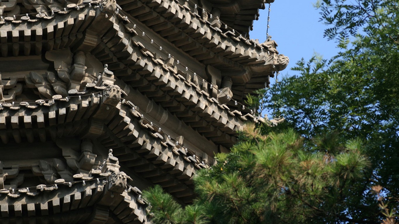 Glimpse of Peking University (Minghu Metasequoia works) #22 - 1366x768