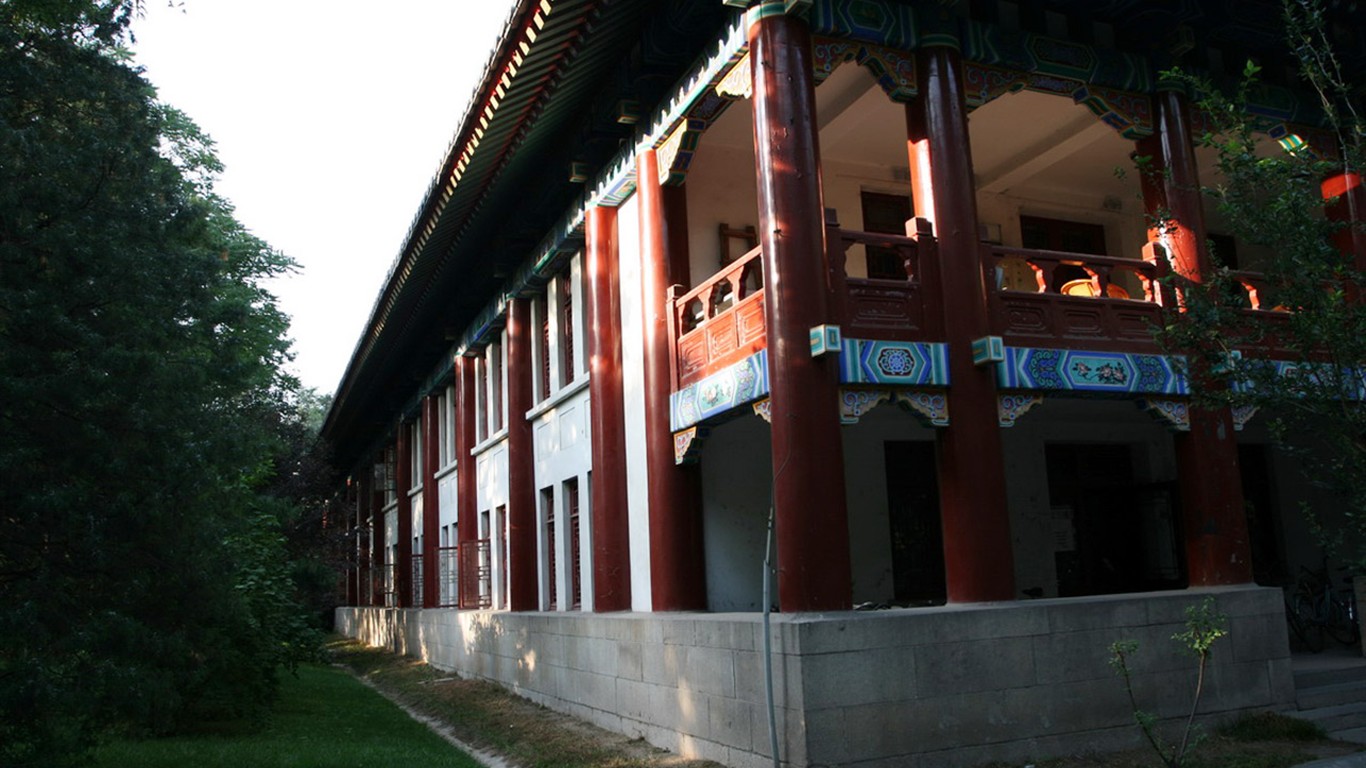 letmý pohled na Peking University (Minghu Metasequoia práce) #24 - 1366x768