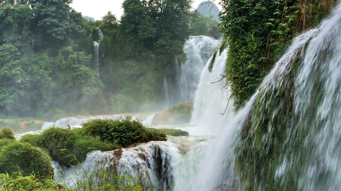 Detian Falls (Minghu Metasequoia práce) #12 - 1366x768