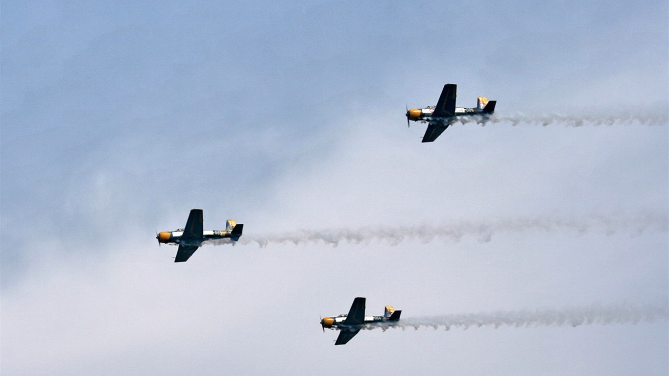 The International Air Sports Festival Glimpse (Minghu Metasequoia works) #4 - 1366x768