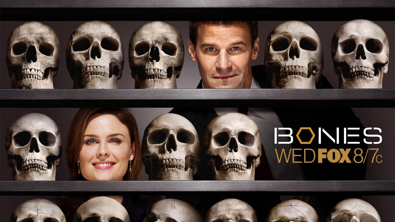 Bones wallpaper #5 - 1366x768