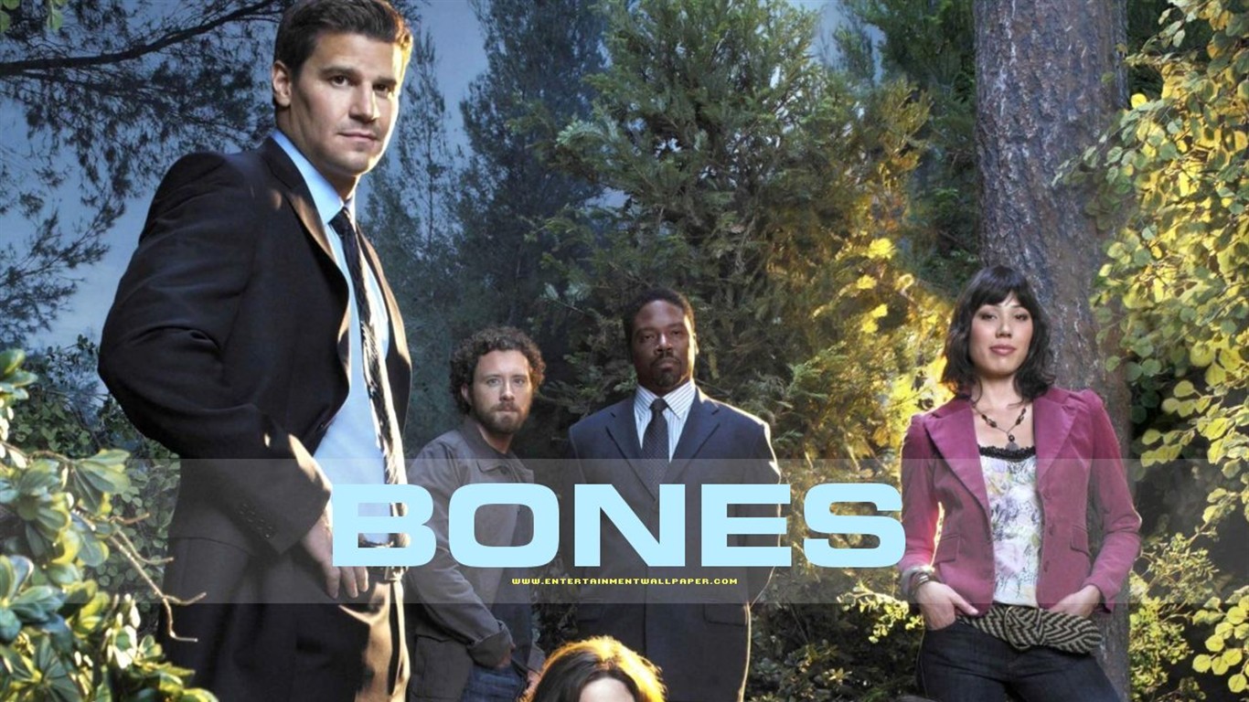 Bones wallpaper #34 - 1366x768