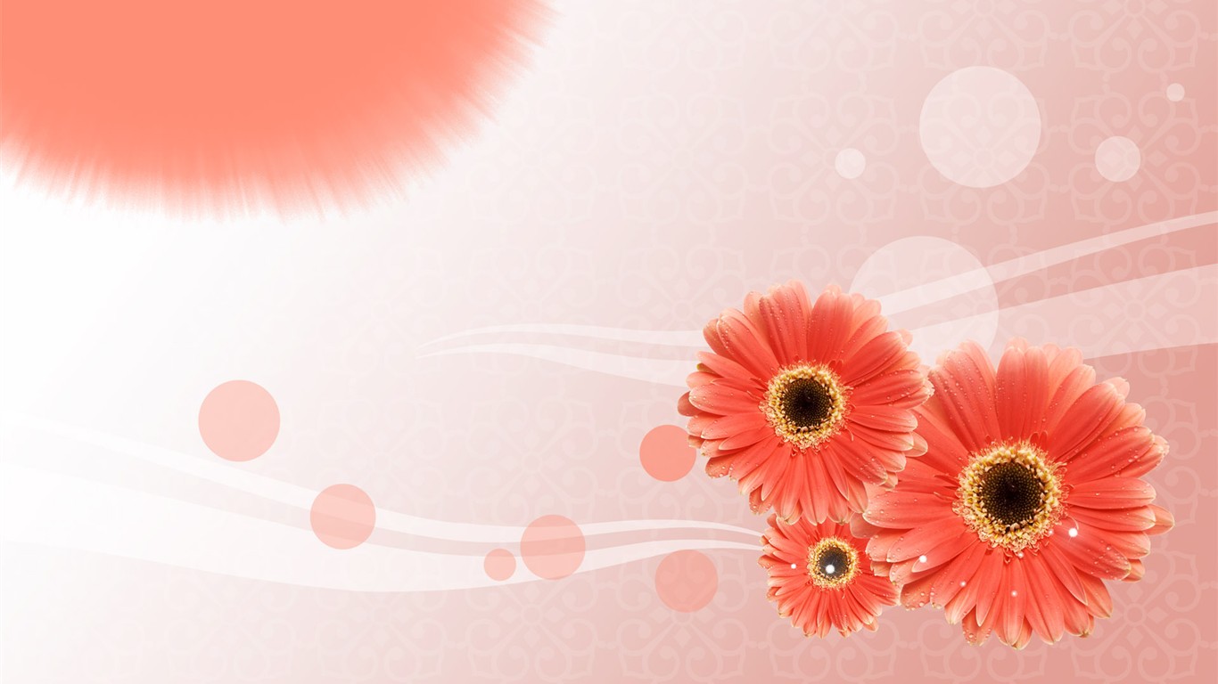 Synthèse de belles fleurs #5 - 1366x768