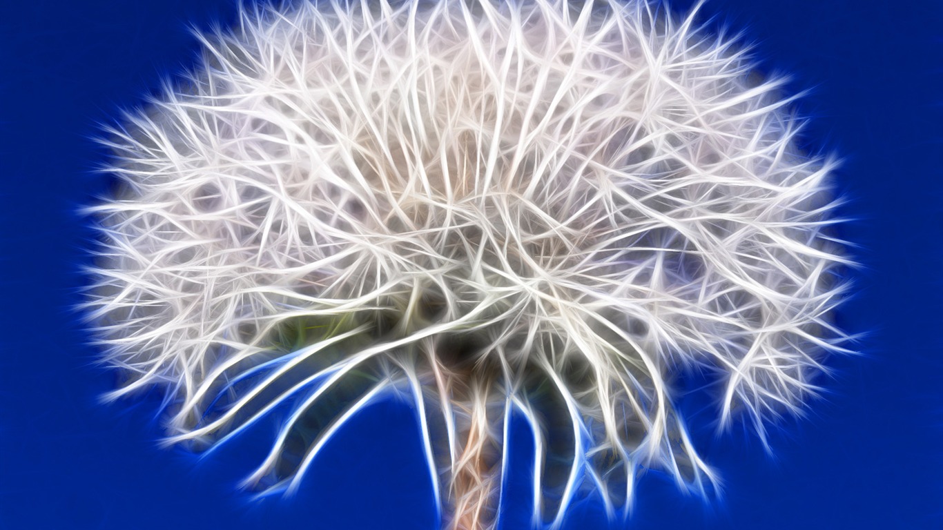 Cool animal wallpaper light #4 - 1366x768