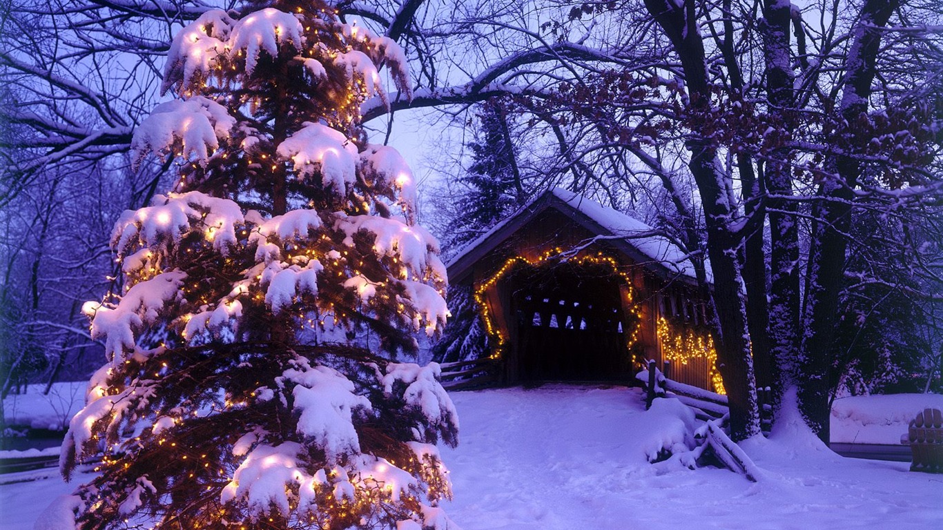 Fond d'écran de Noël série aménagement paysager (2) #12 - 1366x768