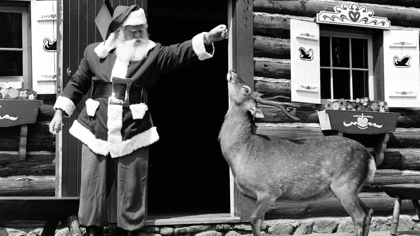 クリスマス造園シリーズの壁紙(2) #19 - 1366x768