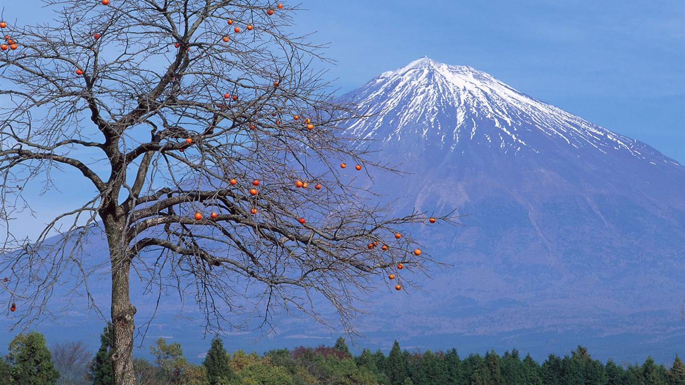 富士山风光壁纸专辑26 - 1366x768