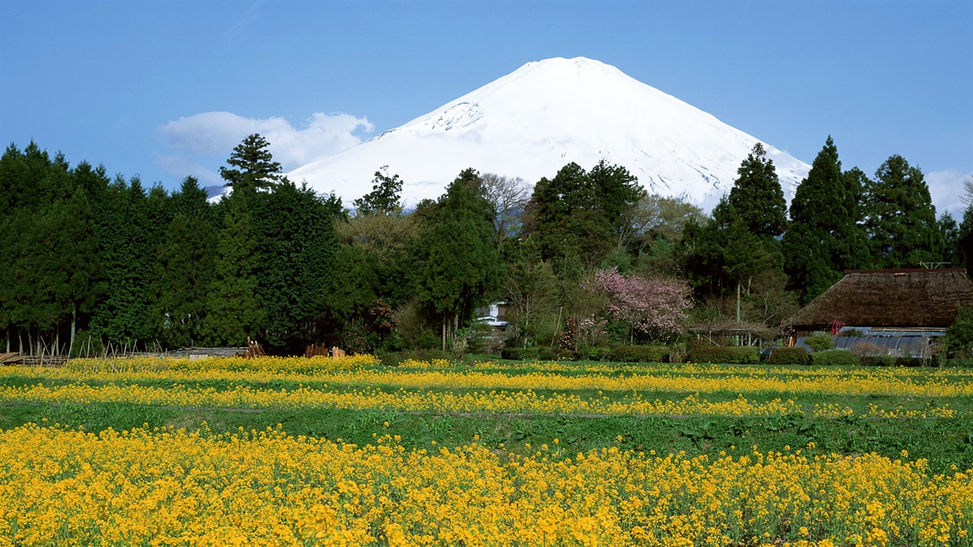 富士山风光壁纸专辑36 - 1366x768