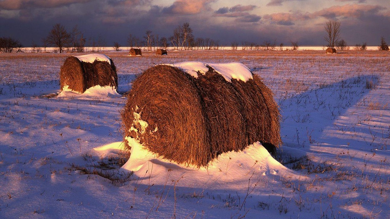 Překrásná příroda v HD Tapety na plochu #18 - 1366x768