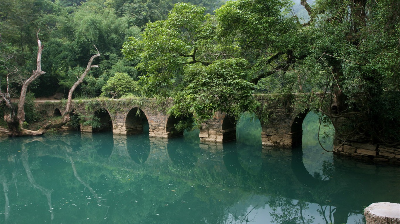 天下美景 - 荔波樟江 (明湖水杉作品)12 - 1366x768