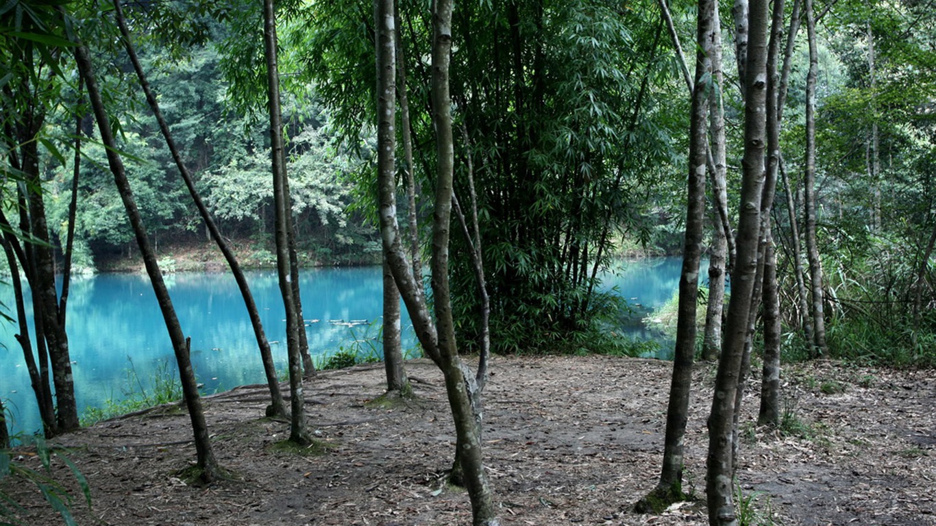 天下美景 - 荔波樟江 (明湖水杉作品)17 - 1366x768