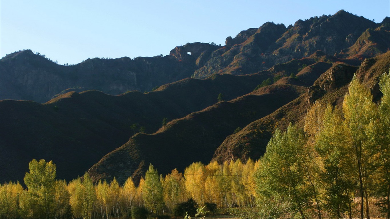 Paddock Saihanba (Minghu Metasequoia works) #3 - 1366x768