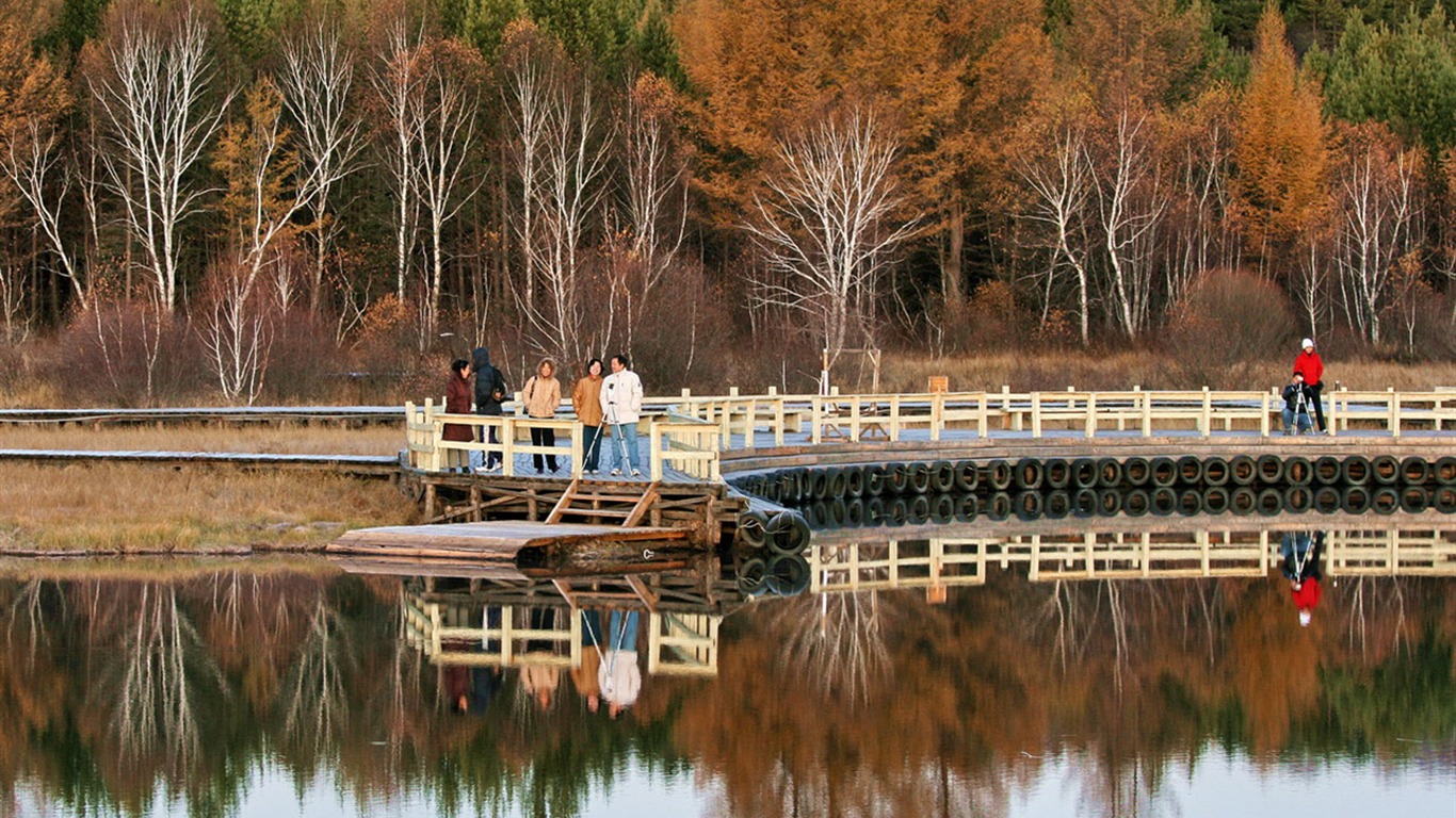 Paddock Saihanba (Minghu Metasequoia works) #5 - 1366x768