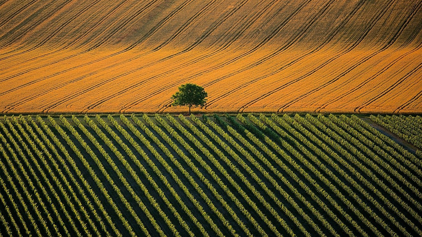 Letecké fotografie zázraky na plochu #17 - 1366x768