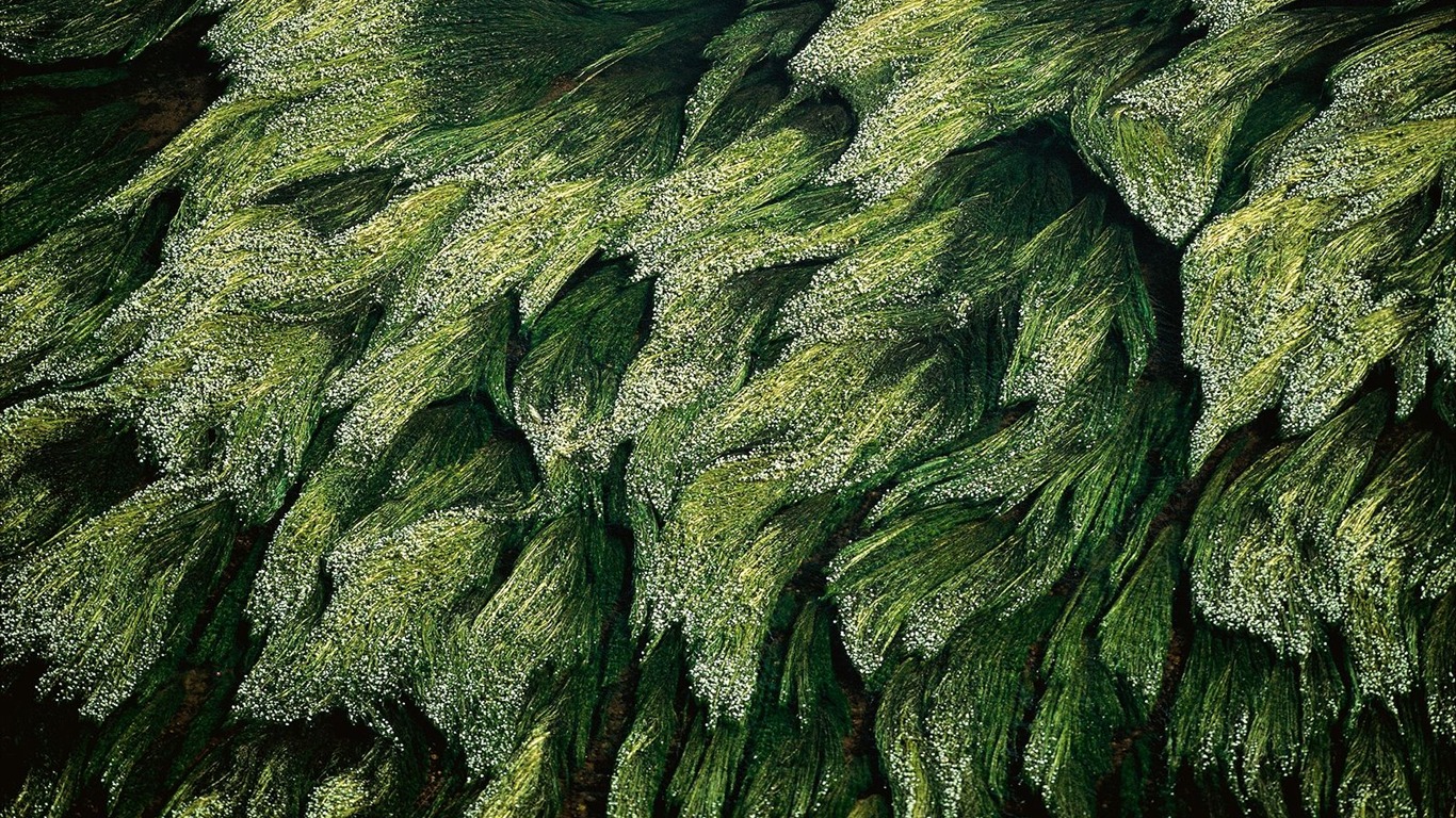 Letecké fotografie zázraky na plochu #21 - 1366x768