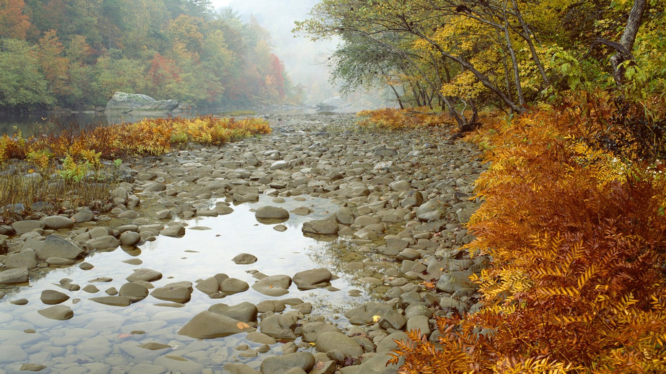 四季風景風光壁紙(二) #2 - 1366x768