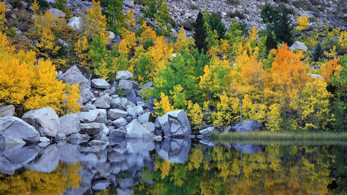 Four Seasons krajiny tapetu (2) #11 - 1366x768