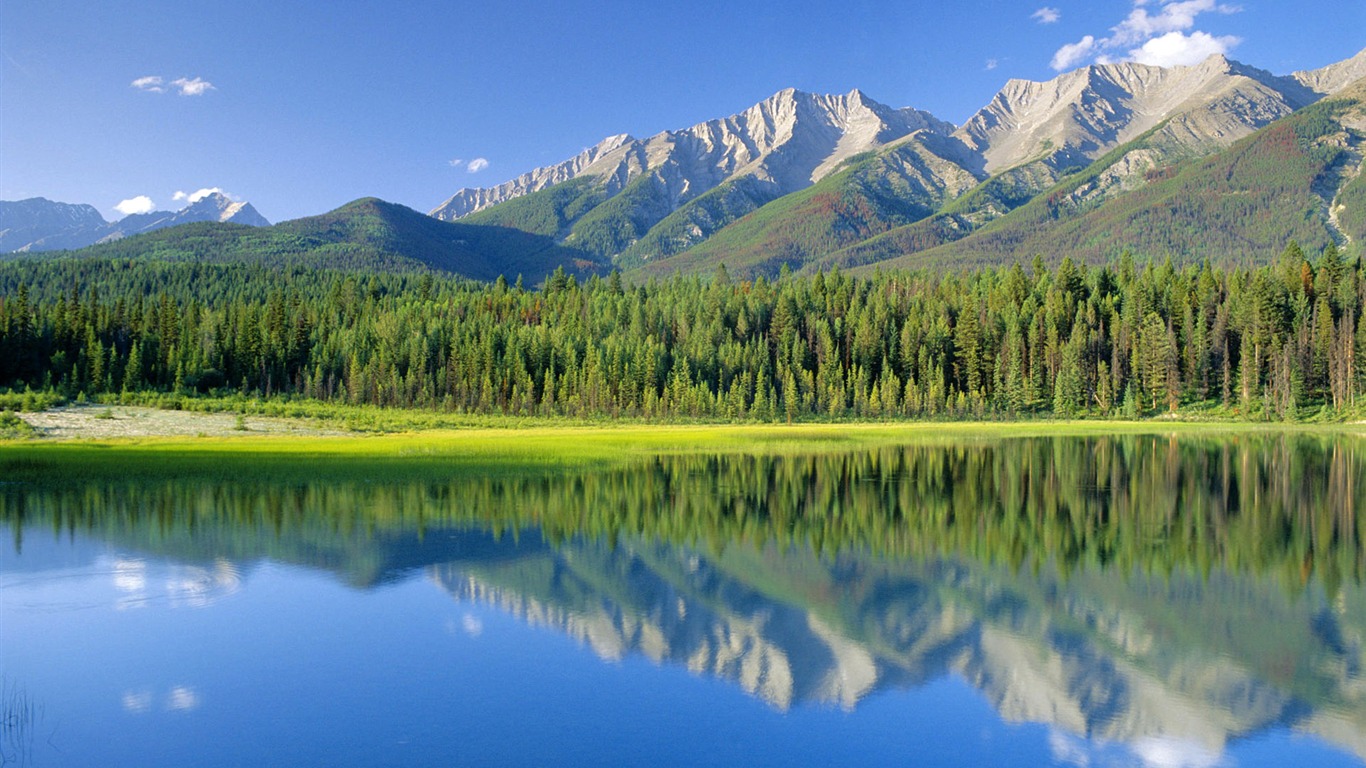 四季风景风光壁纸(二)15 - 1366x768