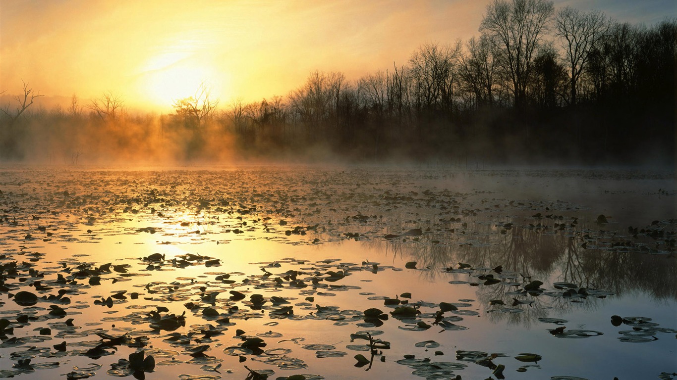 Four Seasons krajiny tapetu (2) #20 - 1366x768