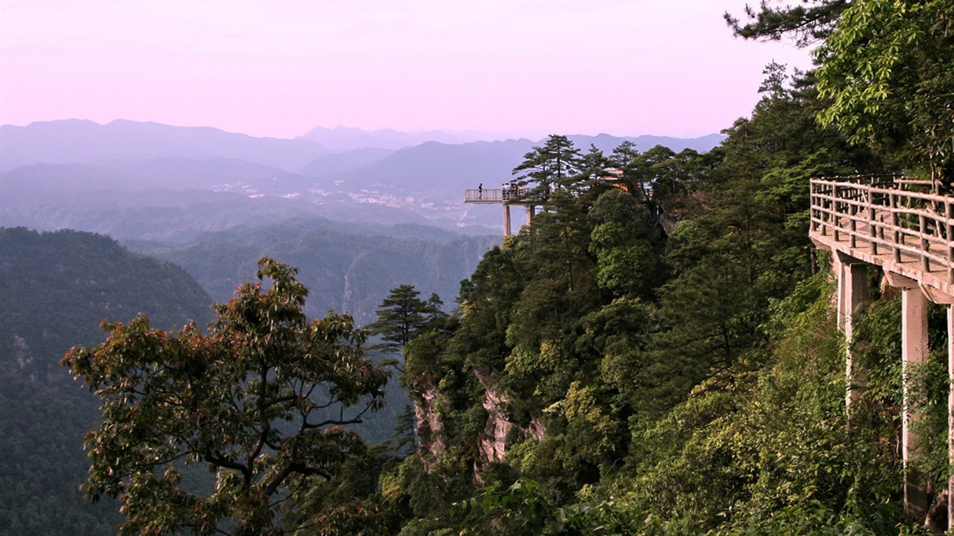 Jinggangshan (Minghu Metasequoia works) #3 - 1366x768