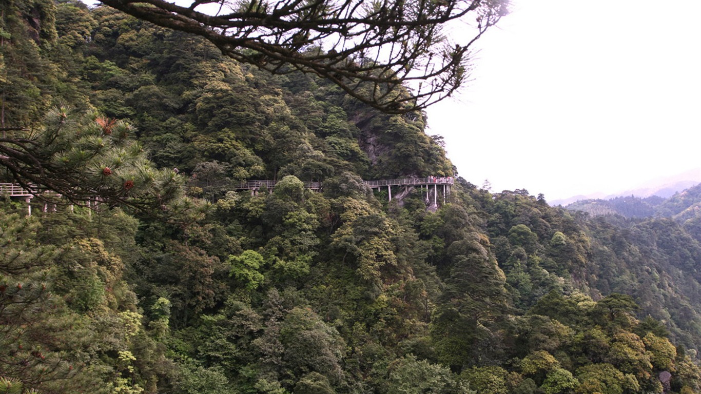 Jinggangshan (Minghu Metasequoia works) #4 - 1366x768