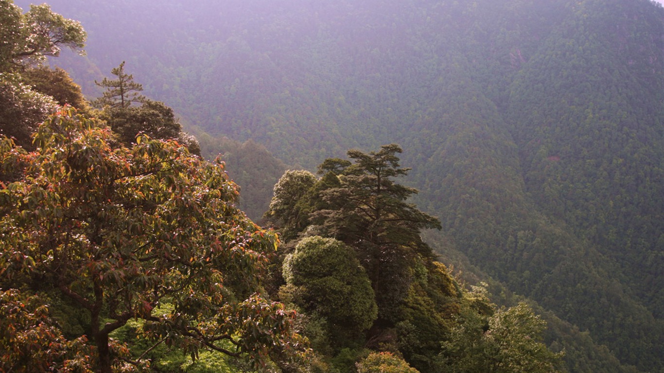 井岡山 (明湖水杉作品) #5 - 1366x768
