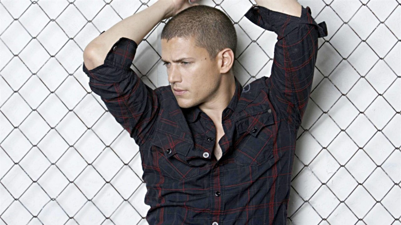 Wentworth Miller wallpaper #4 - 1366x768