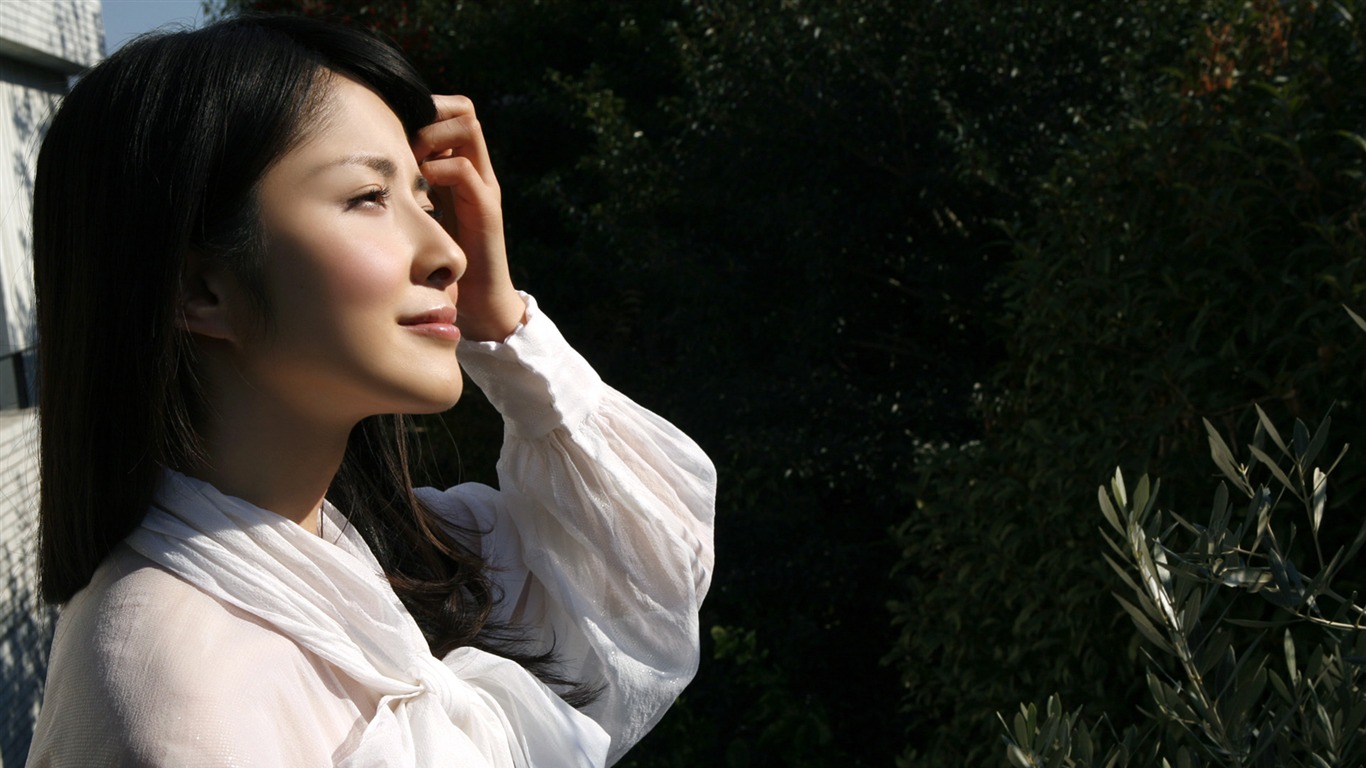 Krásné borovice-ri Choi Tapety na plochu (4) #16 - 1366x768