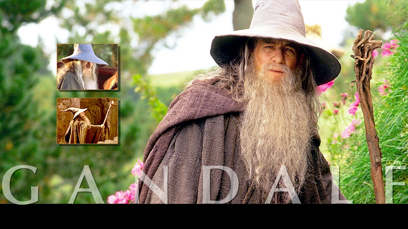 The Lord of the Rings wallpaper #5 - 1366x768