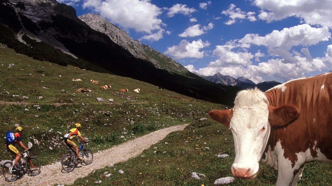 Fond d'écran de vélo de montagne #7 - 1366x768