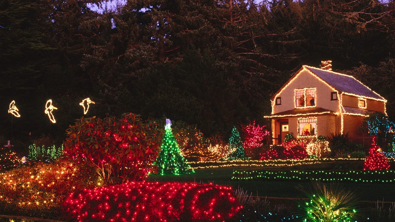 Christmas landscaping series wallpaper (3) #3 - 1366x768