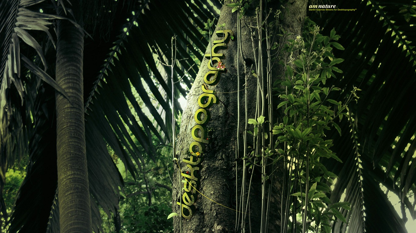New Creative Design Wallpaper #5 - 1366x768