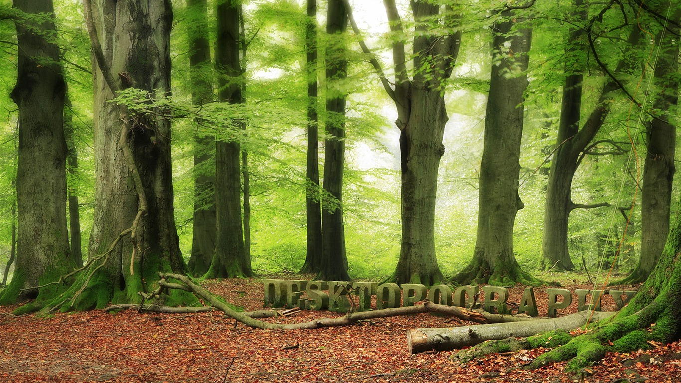 New Creative Design Wallpaper #38 - 1366x768