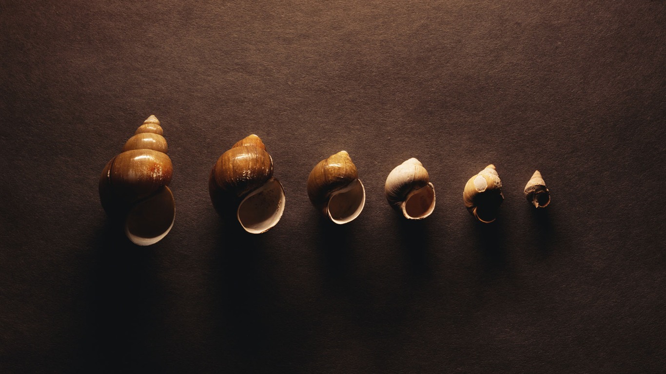 tisíciletí biologický Wallpaper #10 - 1366x768