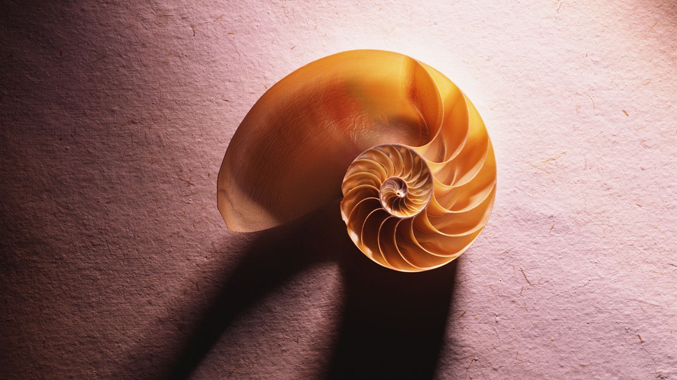 tisíciletí biologický Wallpaper #11 - 1366x768