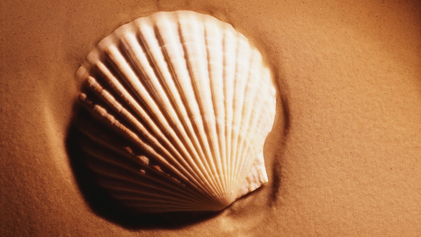 tisíciletí biologický Wallpaper #22 - 1366x768