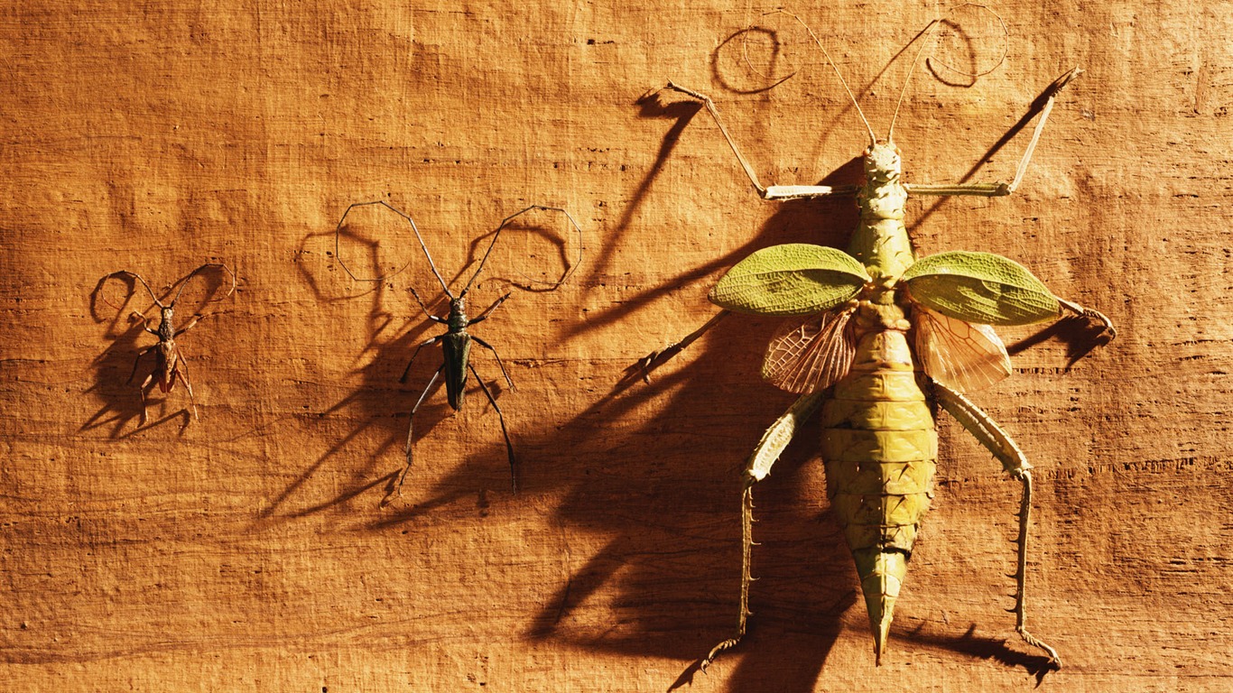 tisíciletí biologický Wallpaper #24 - 1366x768