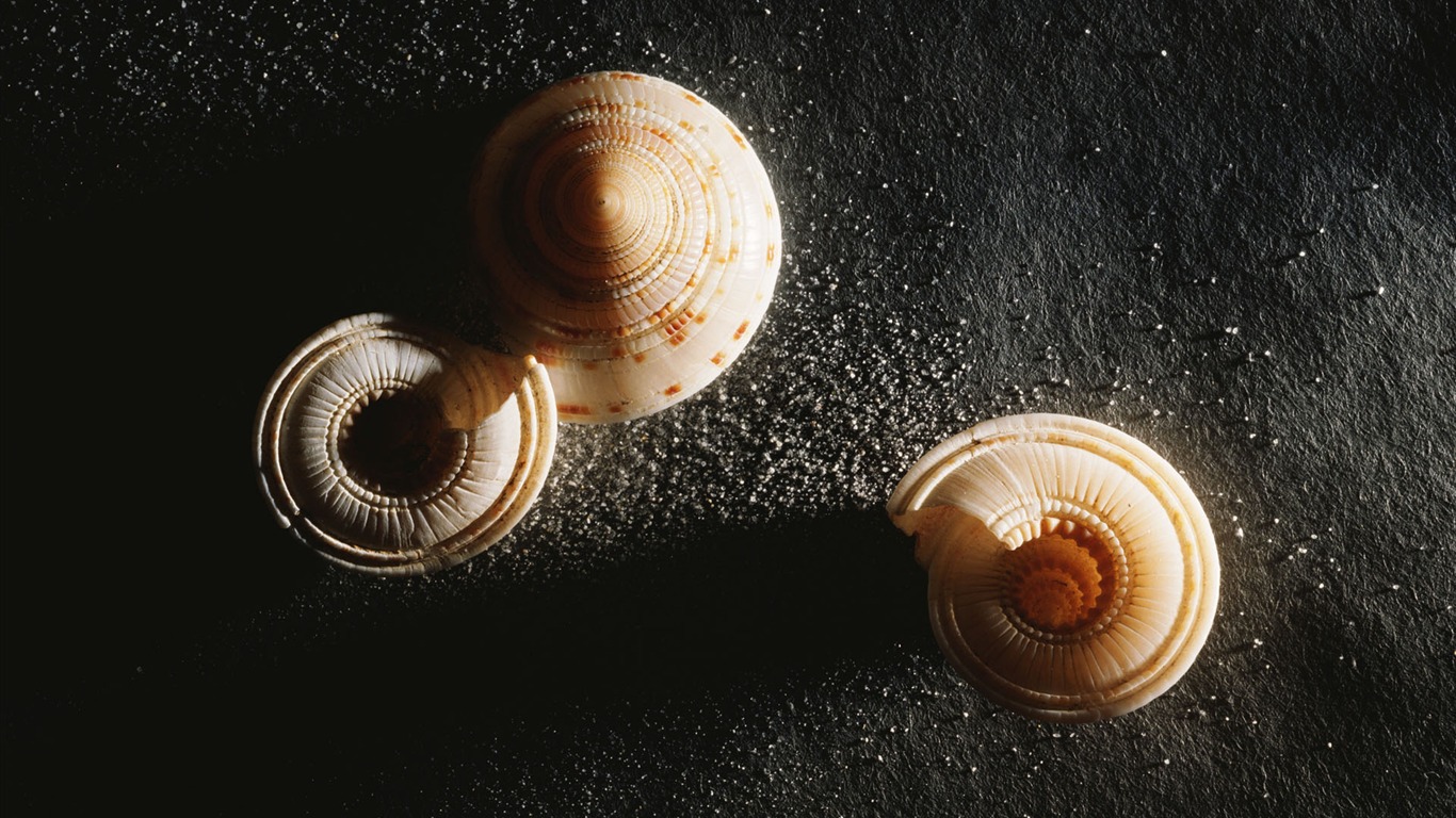 tisíciletí biologický Wallpaper #28 - 1366x768