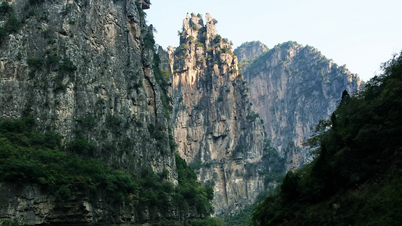 We have the Taihang Mountains (Minghu Metasequoia works) #6 - 1366x768